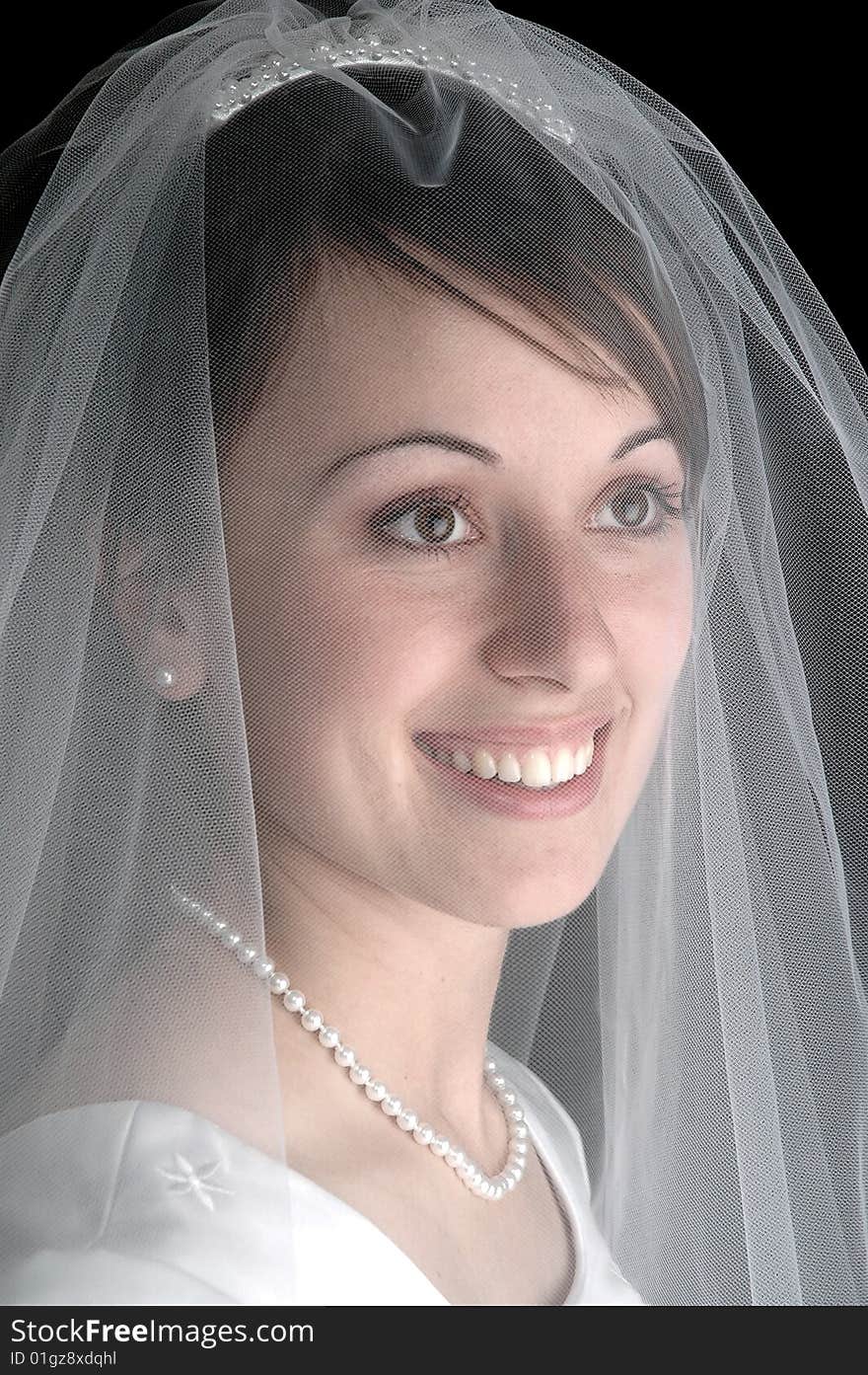 Portrait of bride on wedding day with veil. Portrait of bride on wedding day with veil