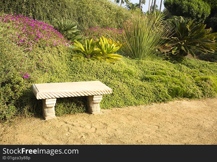 Tropical Succulent Garden