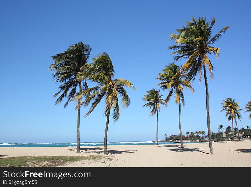 Seashore in Bacuranao beach, in Havana - I