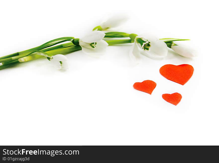 Snowdrops and red hearts over white. Snowdrops and red hearts over white