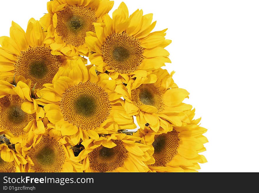 Set of sunflowers with copy space