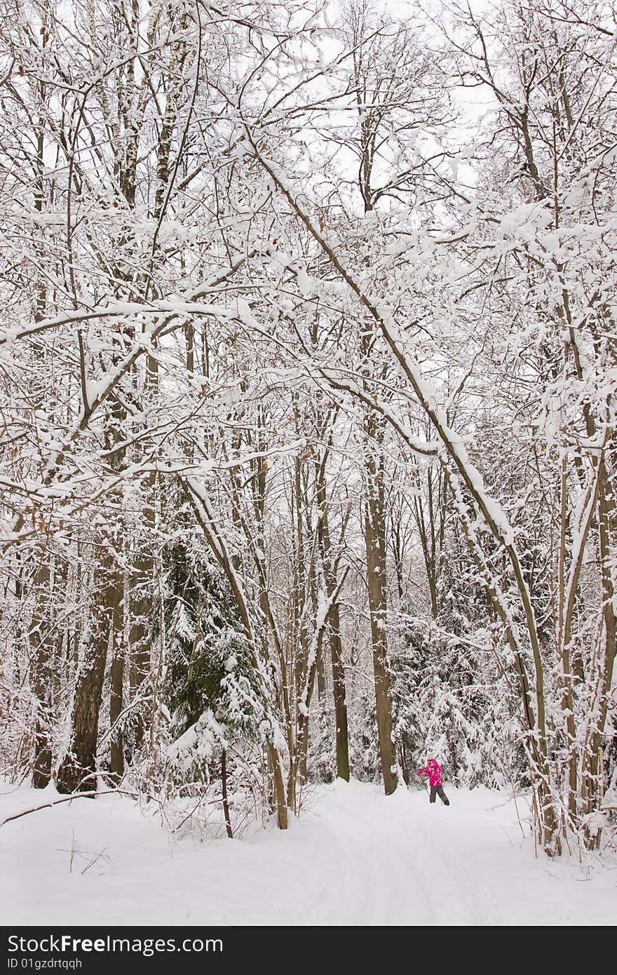 Beautiful Winter Landscape And Girl Skiing