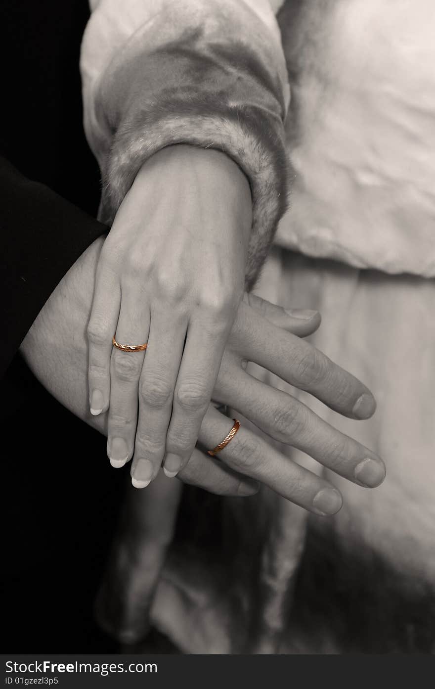 Wedding, two hands with the rings