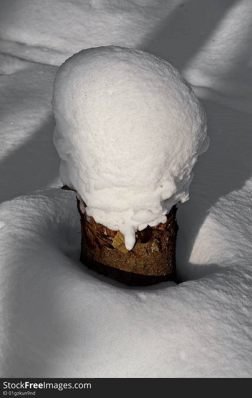 Part of a tree-trunk covered in snow. Part of a tree-trunk covered in snow.