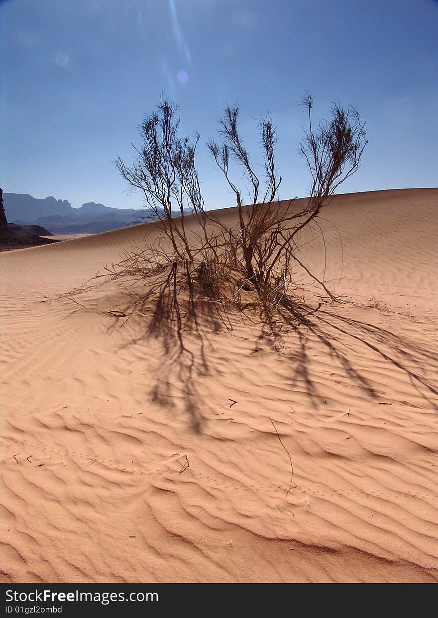 Desert landscape in the Jordan