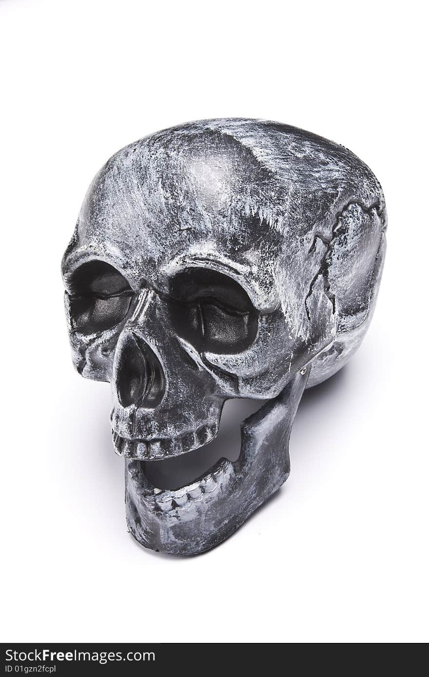 Skull on a white background