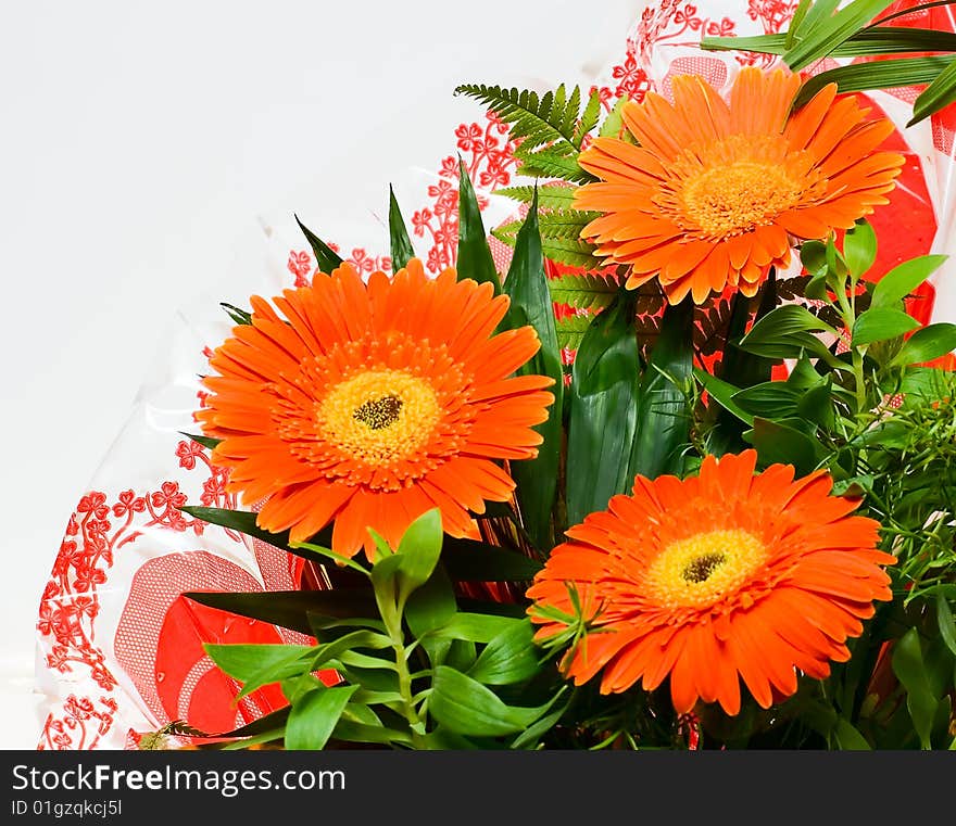 Floral background for your design