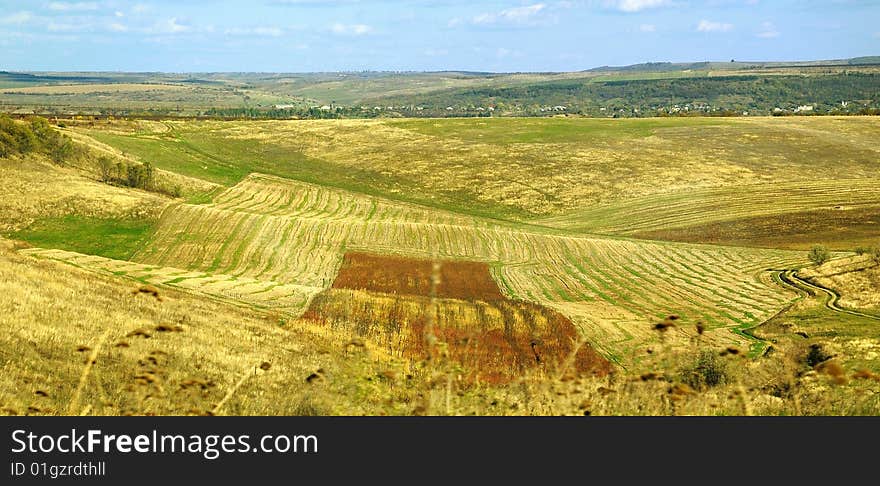 This photograph represent an agriculture field in autumn