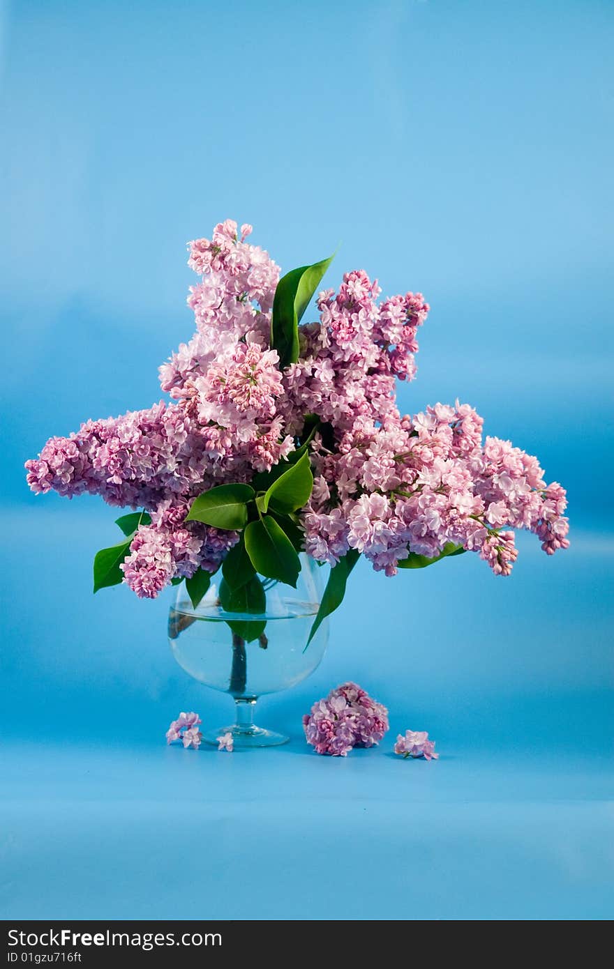 Bouquet of lilac in a transparent vase