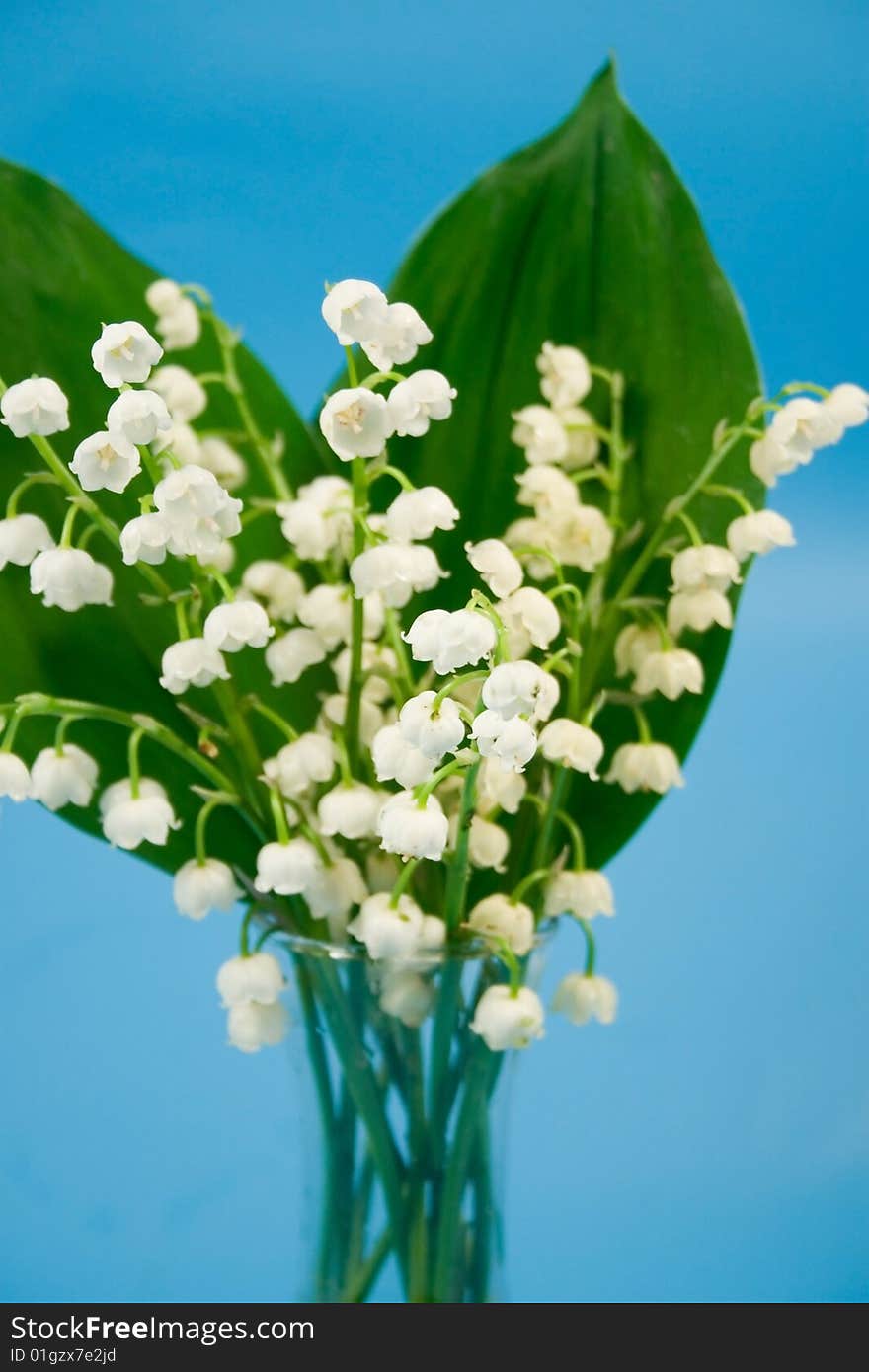 Lily of the valley in a transparent vase