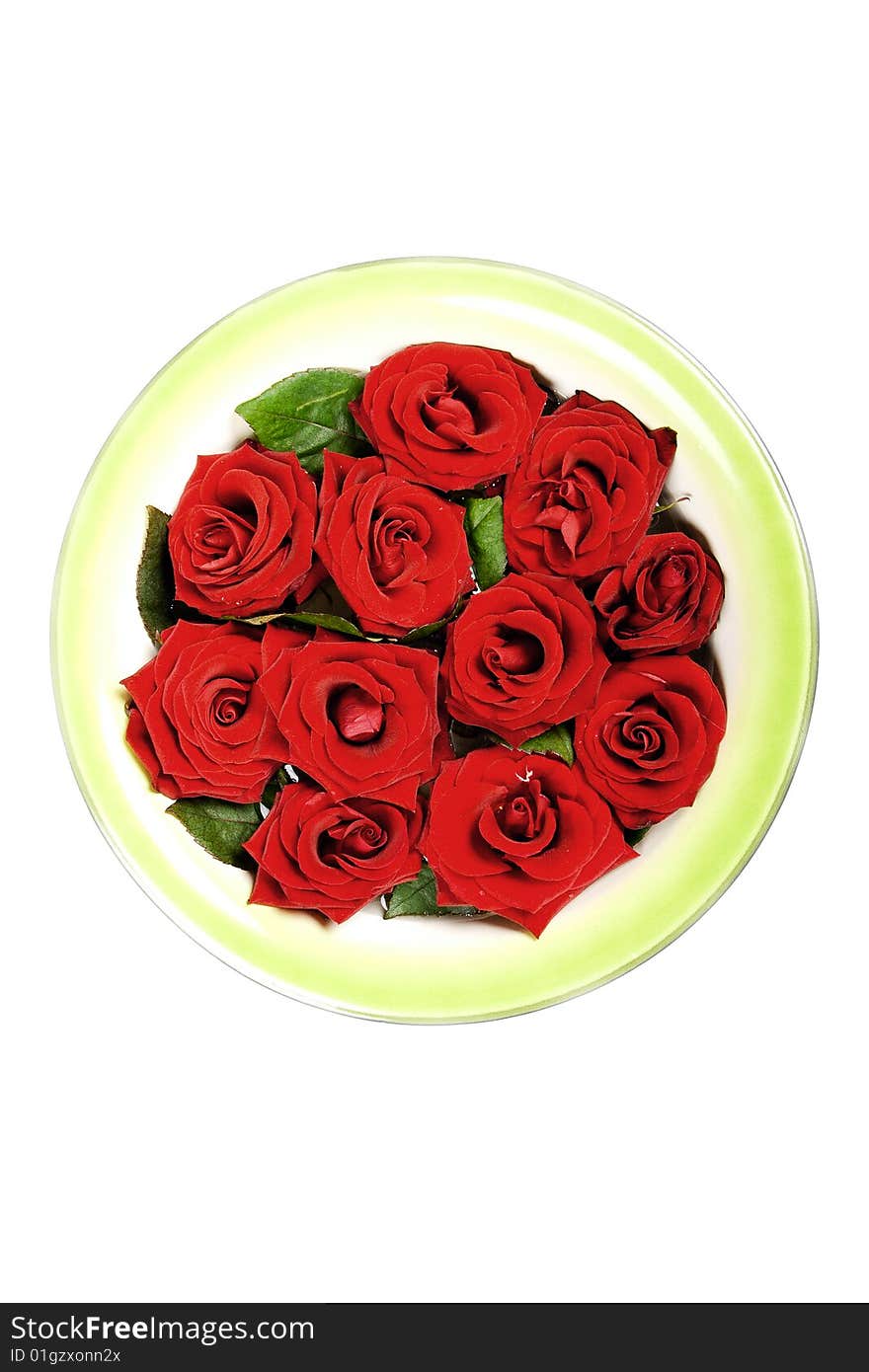 Red roses in green ring on white background