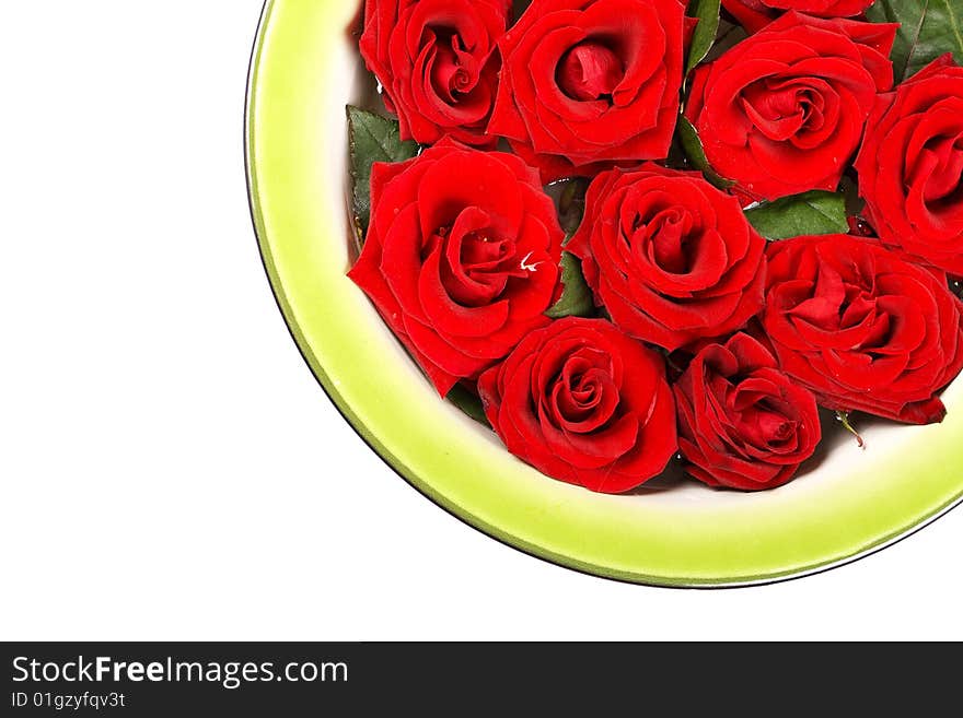 Red roses in green ring on white background