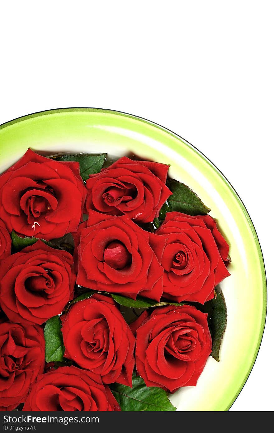 Red roses in green ring on white background