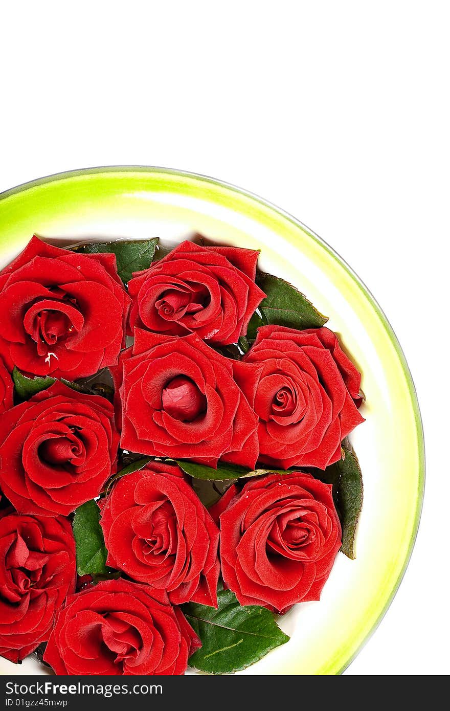 Red roses in green ring