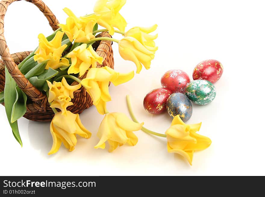 Easter colored eggs and yellow tulips in grass. Easter colored eggs and yellow tulips in grass