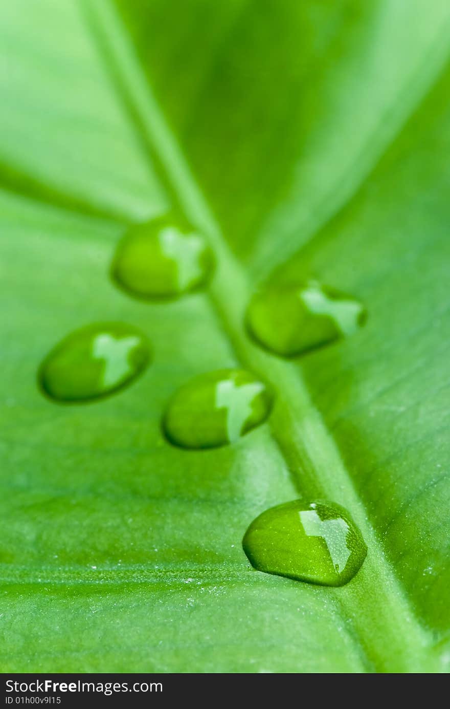 Green sheet background with raindrops. close up .