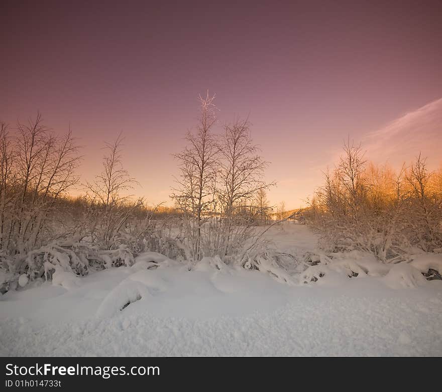 Winter day in north of sweden. Winter day in north of sweden