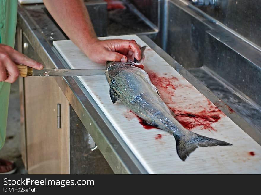 Fisherman filleting a fresh catch of salmon. Fisherman filleting a fresh catch of salmon.