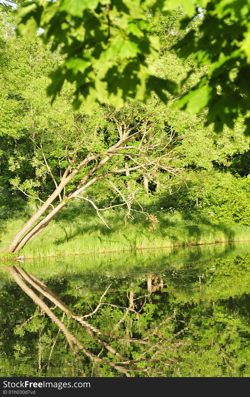 Ancient Russian Aleksandrovski Park near Saint-Petersburg. Ancient Russian Aleksandrovski Park near Saint-Petersburg.