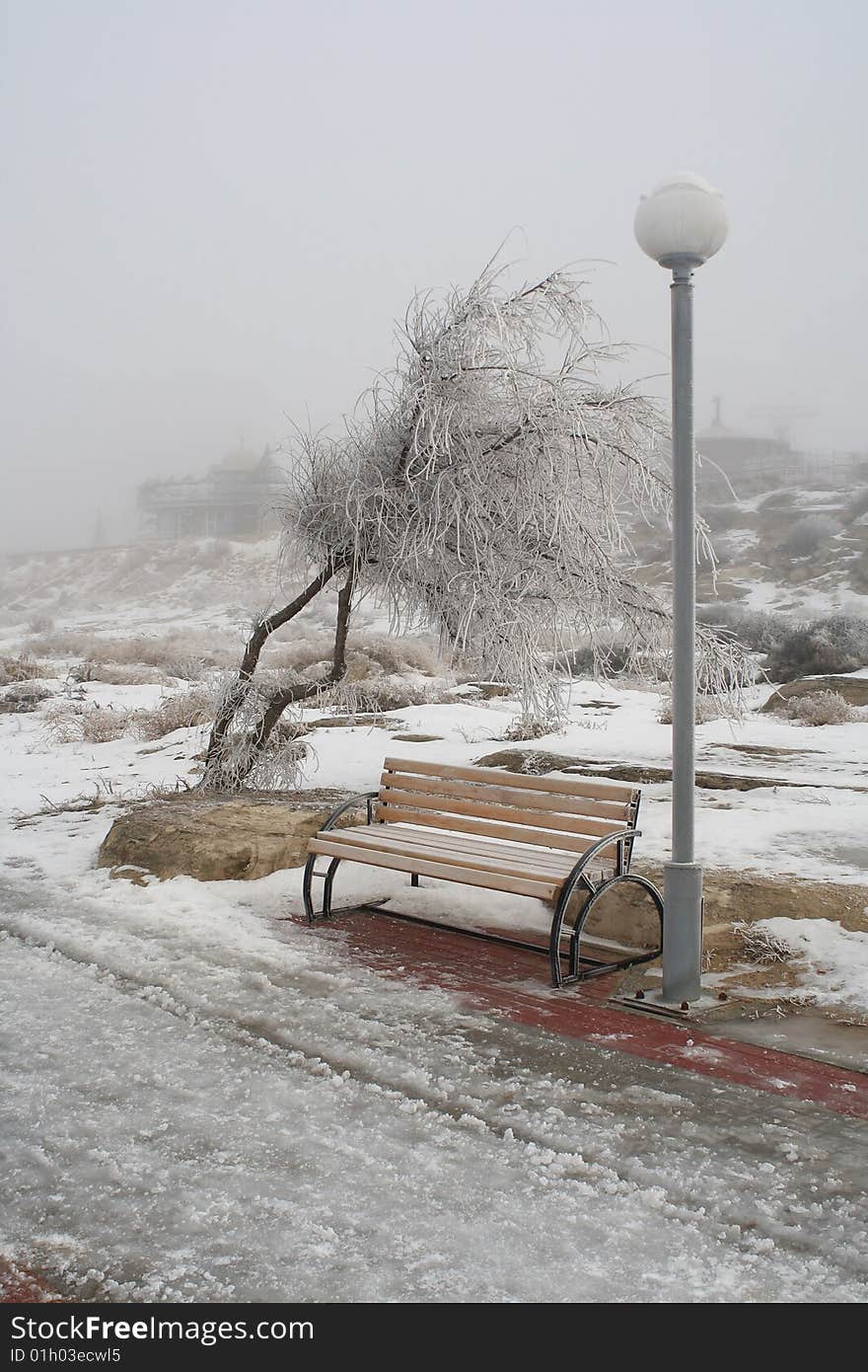 Tree covered with hoarfrost. Landscape. Tree covered with hoarfrost. Landscape.