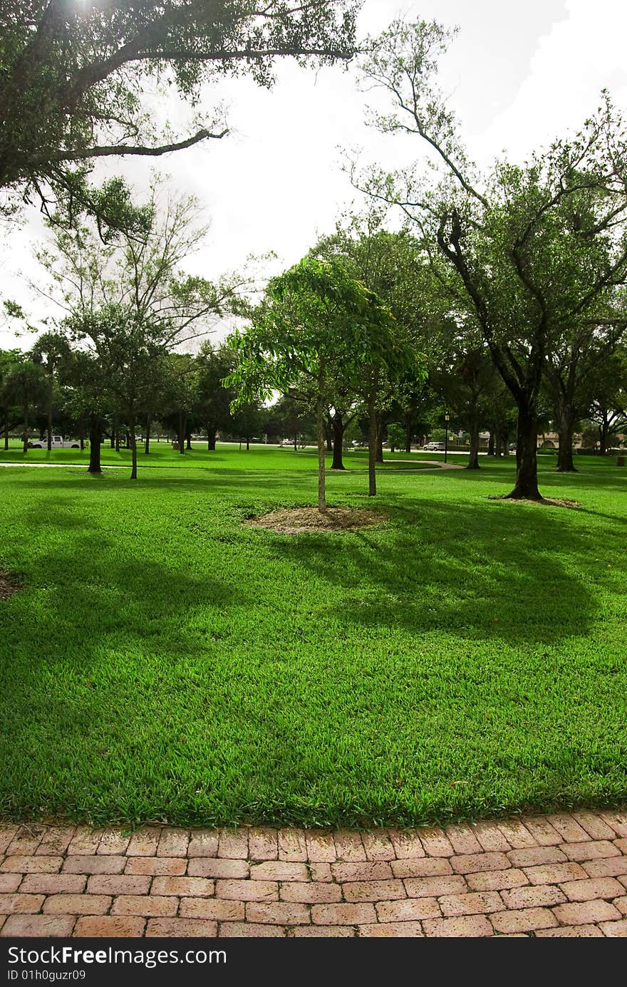 A brick path in the park long