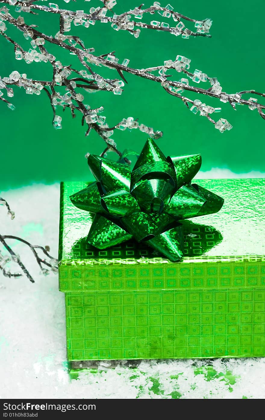 Green Gift Box And Branch