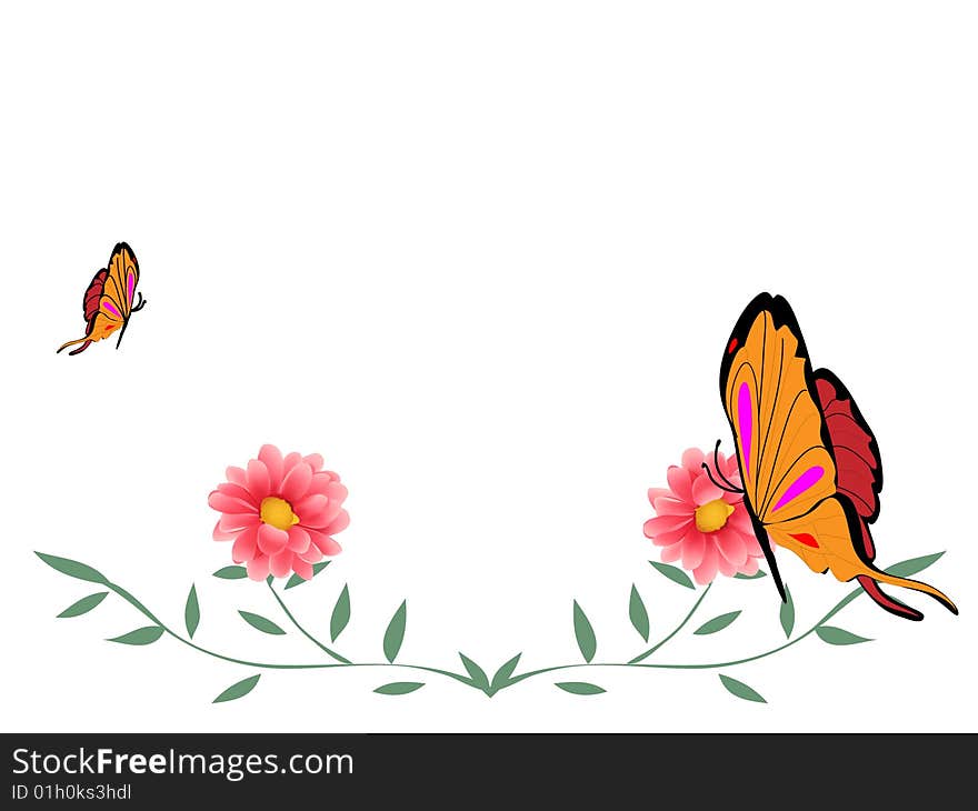 Butterfly and flower