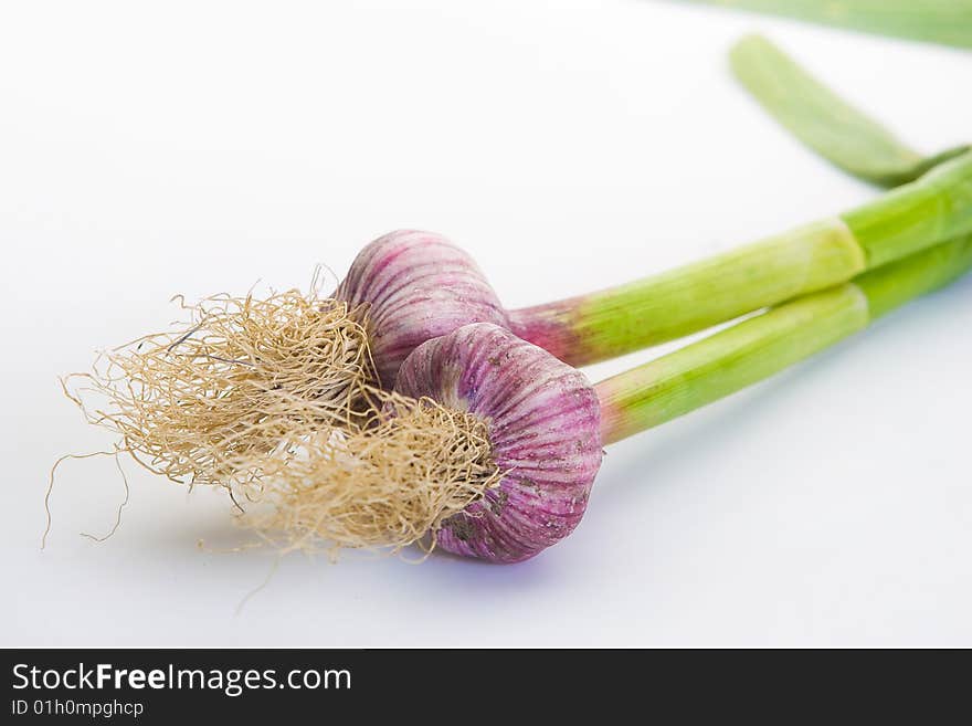 Two heads of garlic on white background. Two heads of garlic on white background