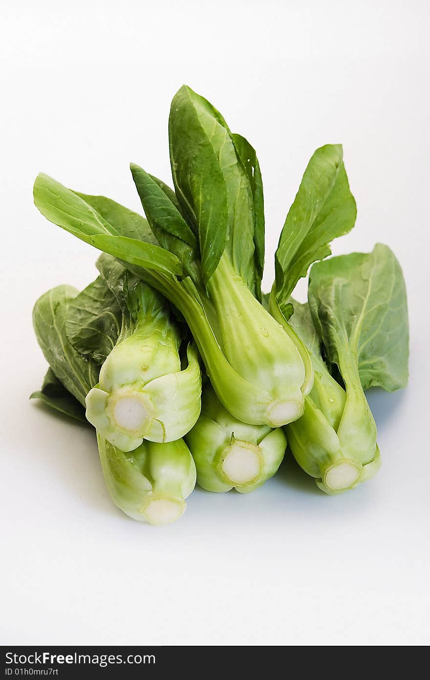 Bunch of fresh bok choy on white background. Bunch of fresh bok choy on white background