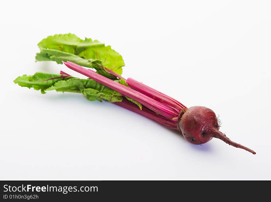 Freshly picked beetroot