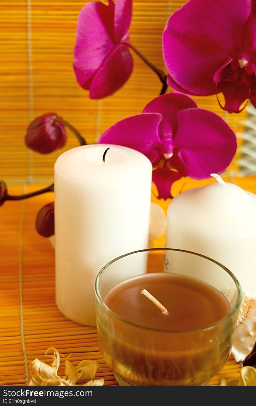 Orchids, candles and shells, spa concept. Orchids, candles and shells, spa concept