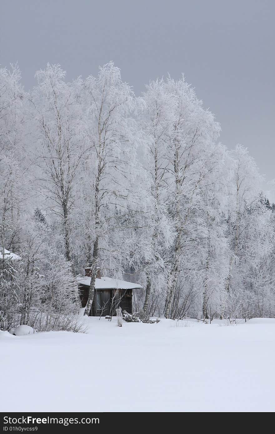 House in winter