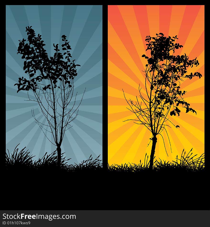 Two Trees