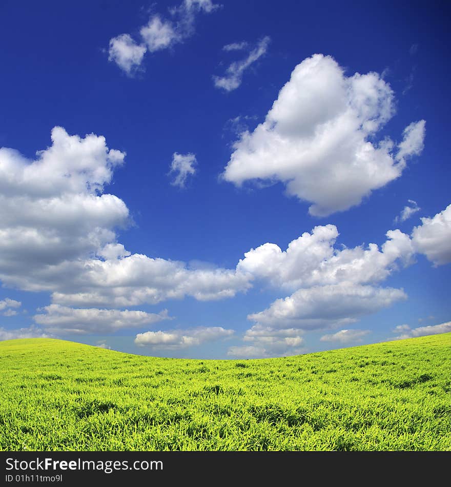 Field on a background of the blue sky