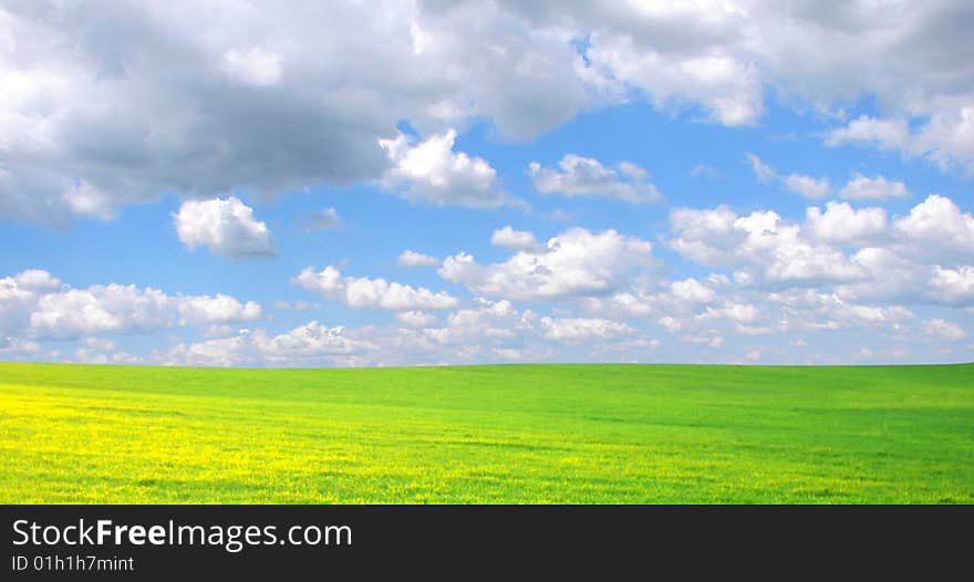 Field on a background of the blue sky. Field on a background of the blue sky