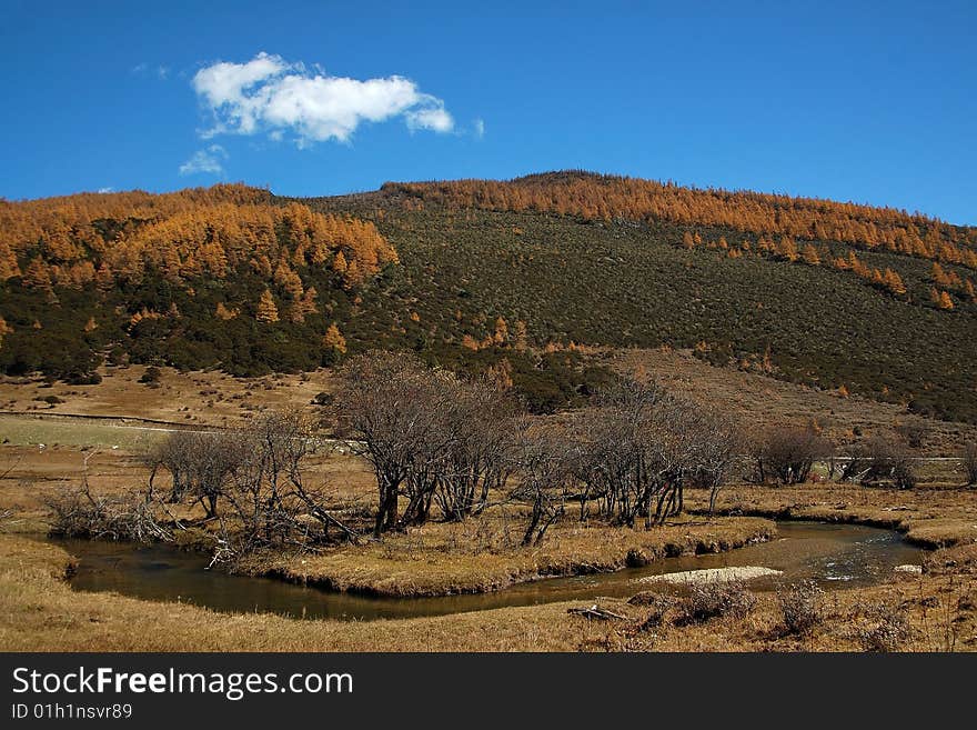 Shangri-la s Pudacuo in Autumn