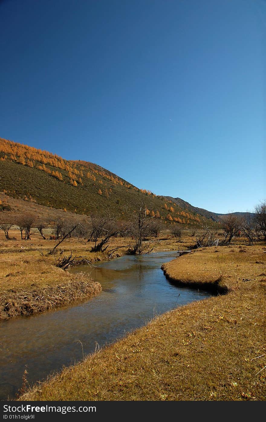 Shangri-la s Pudacuo in Autumn