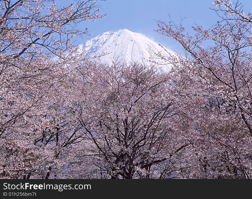 Snowing mountains the sky very beautiful