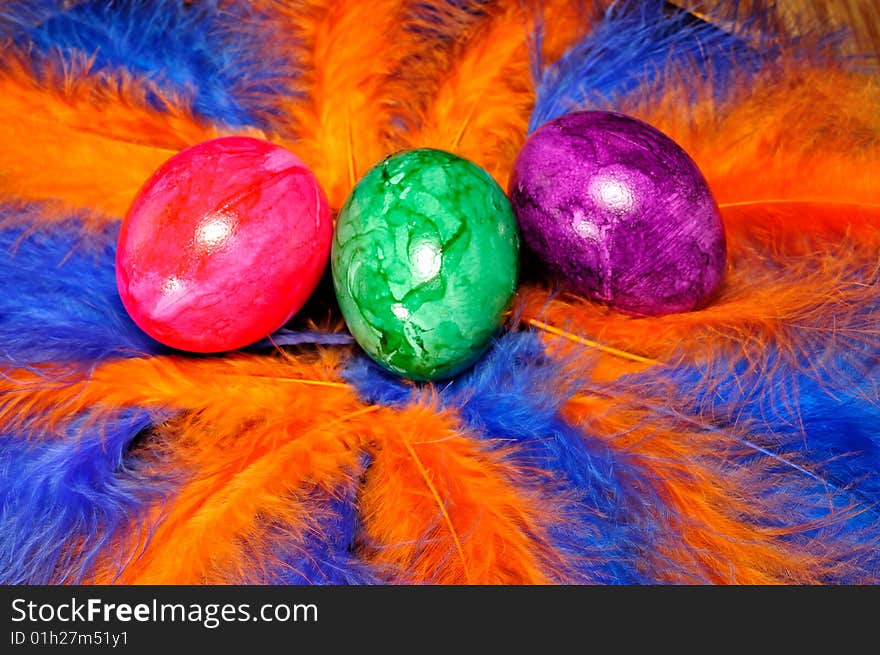 Colorful Easter eggs on the colored feathers