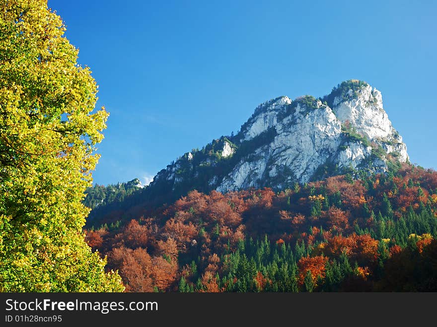 Autumn summer hill Landscape