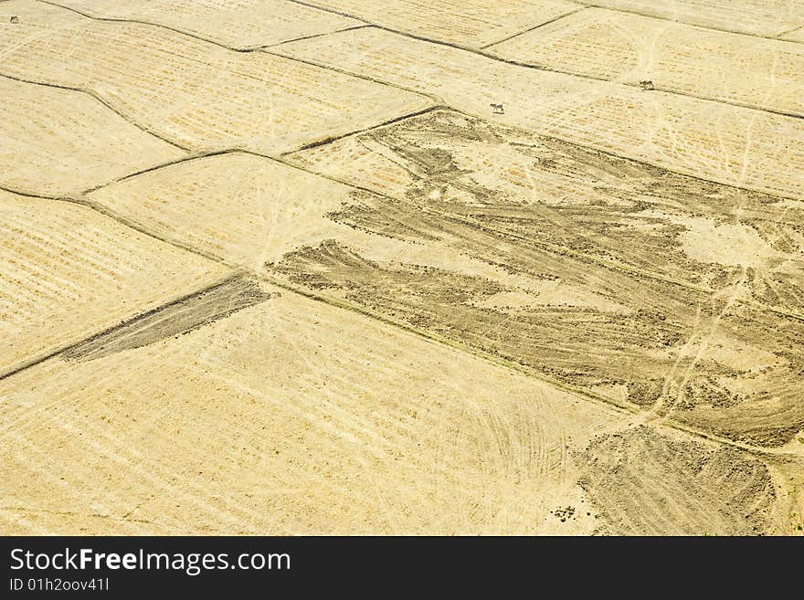 Field With No Rain.