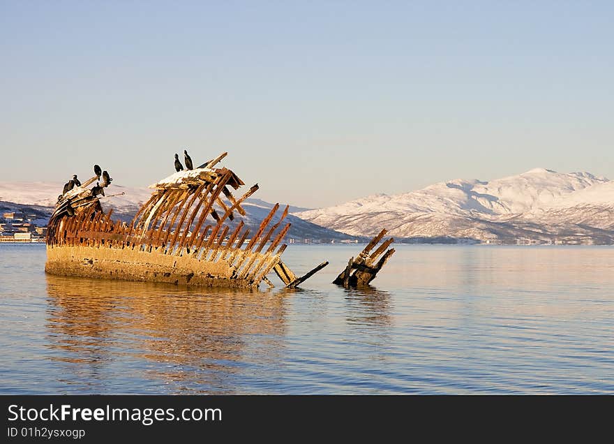 Cormorants Sitting On  Shipwreck In  North Sea