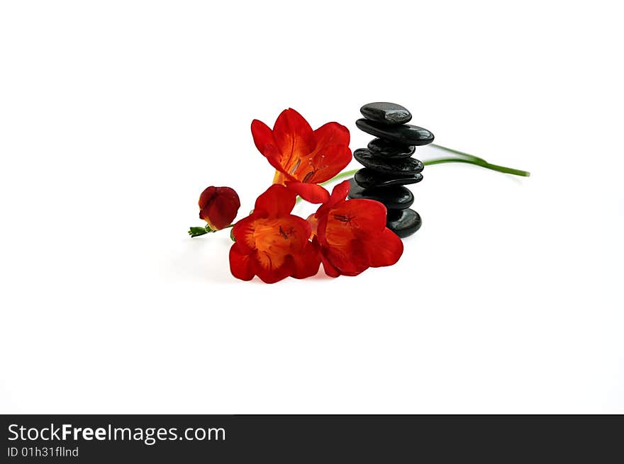 Balancing stones and red day-lilies isolated over white. Balancing stones and red day-lilies isolated over white.