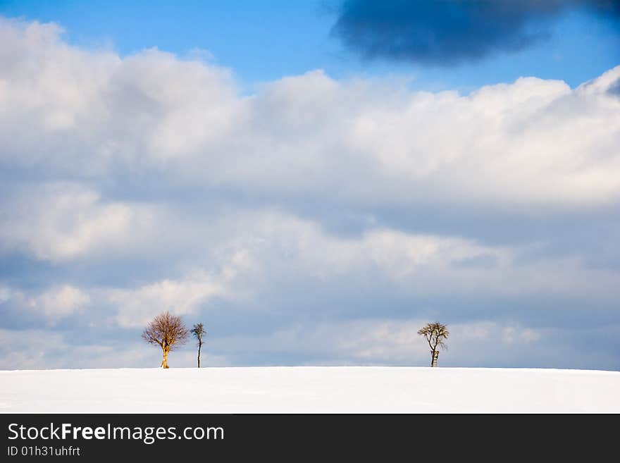 Winter Landscape with trees on horizon and Cloudscape