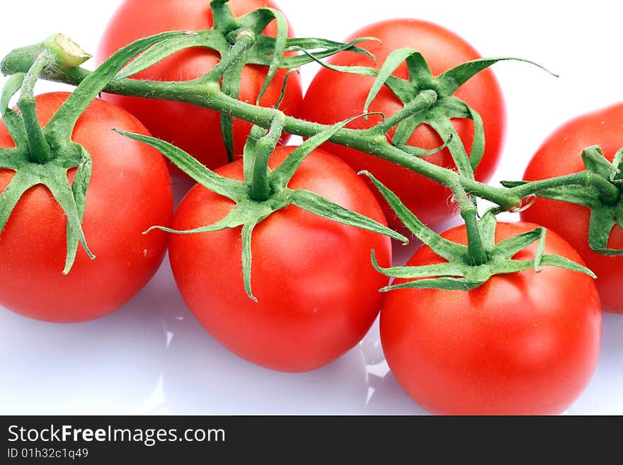 Studio shot of fresh tomato bundle. Studio shot of fresh tomato bundle.