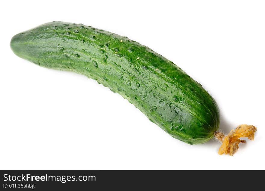 Green cucumber isolated on white