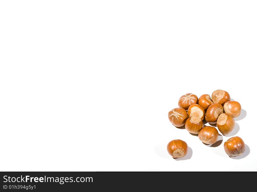 High key coseup of a small collection of hazelnuts on a white background. High key coseup of a small collection of hazelnuts on a white background