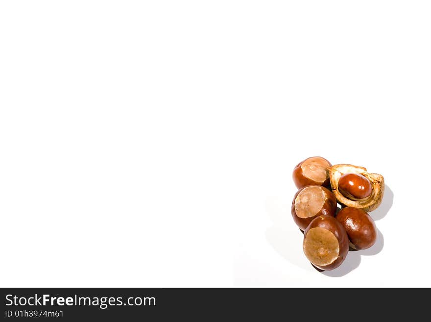 High key image of a small collection of horse chestnuts on a white background. High key image of a small collection of horse chestnuts on a white background