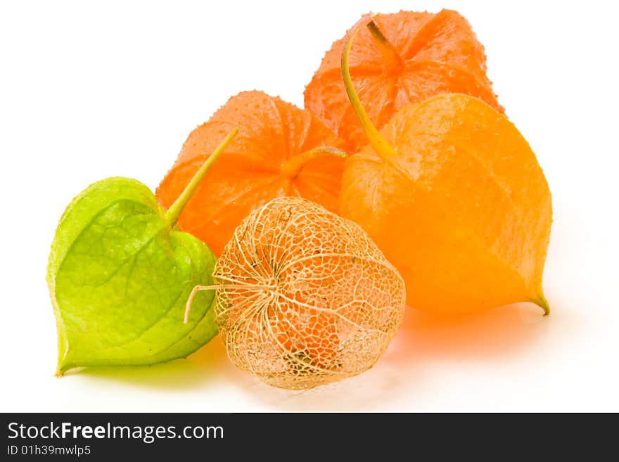 High key image of sevaral physalis fruits of different colours on a white background. High key image of sevaral physalis fruits of different colours on a white background