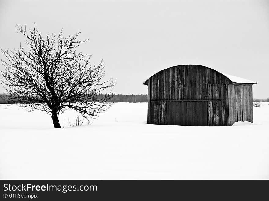 Old structure and old tree during the winter. Old structure and old tree during the winter